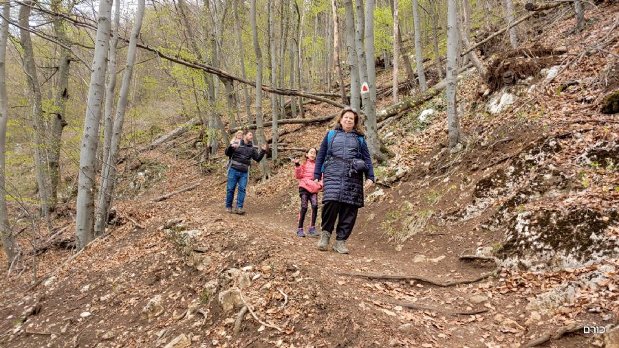 רומניה פסח 2019